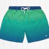 Men'S Southern Marsh Swim Trunks | Harbor Trunk | Faded Lines