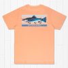 Men'S Southern Marsh Original Ss Tees | Fishing Lines Tee - Brook Trout