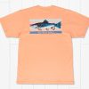 Youth Southern Marsh Original Tees | Youth Fishing Lines Tee - Brook Trout Peach